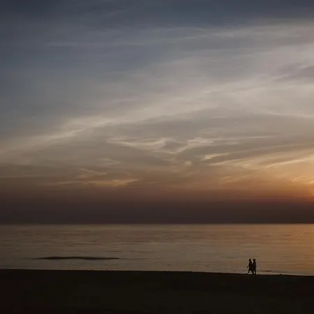 Domek alpejski Kd 814 - Kijkduin