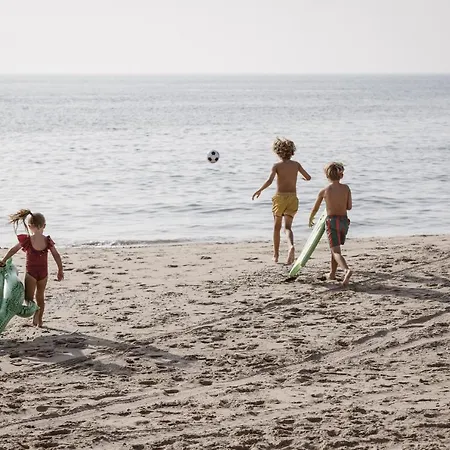 Kd 814 - Kijkduin Kraayensteyn